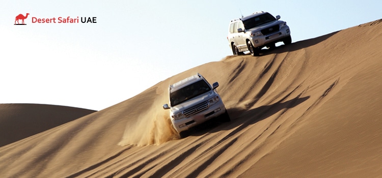 Morning Desert Safari 15