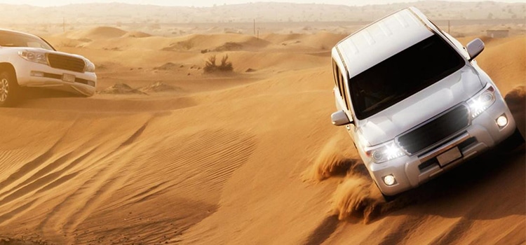 Morning Desert Safari 20