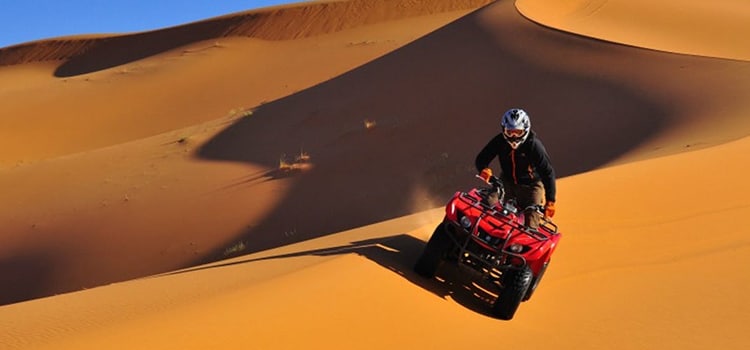 Morning Desert Safari 24