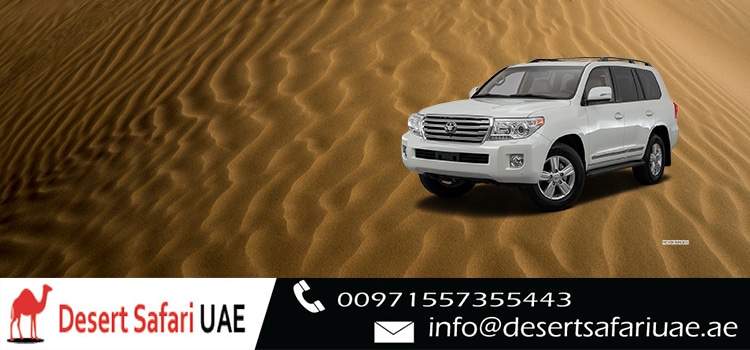 Morning Desert Safari 23