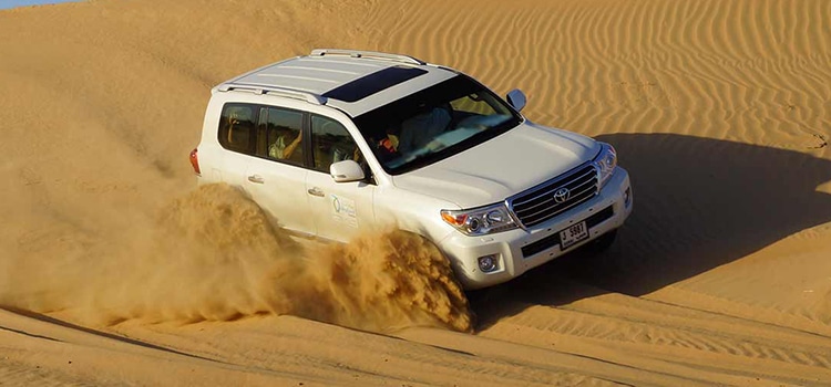 Morning Desert Safari 22