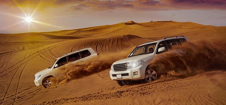 Morning Desert Safari 21