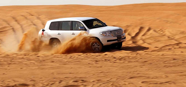 Morning Desert Safari21