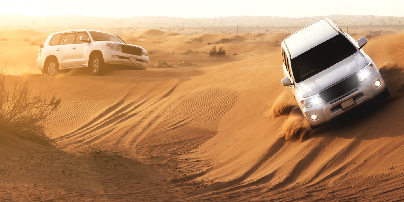 Morning Desert Safari and its activities