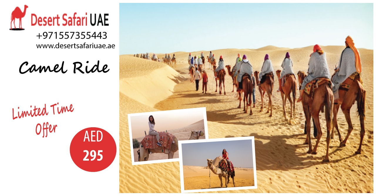 All about Desert safari