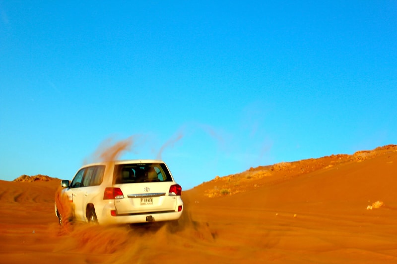 Enjoy The Dubai Camel Ride With Your Friends And Family