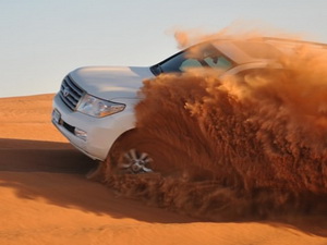 Safari 1