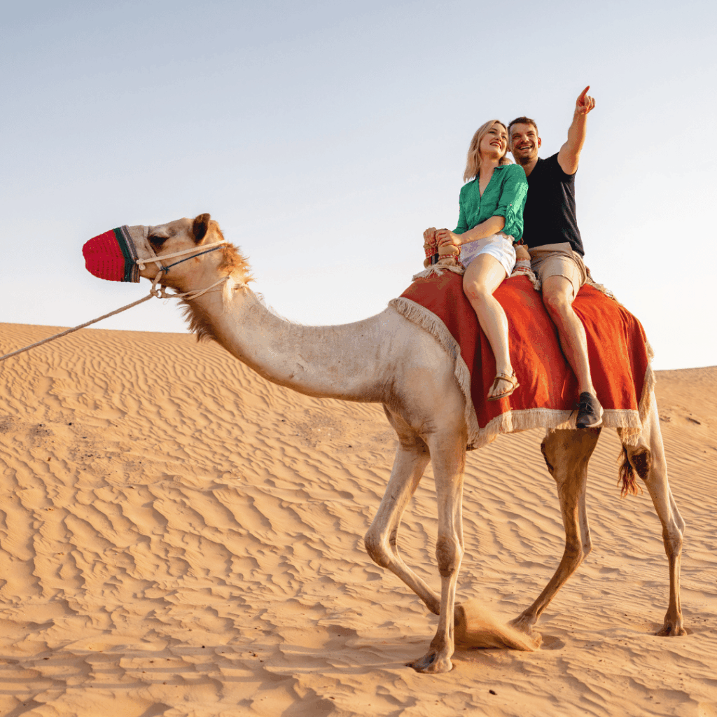 Sightseeing Tours from Dubai 14