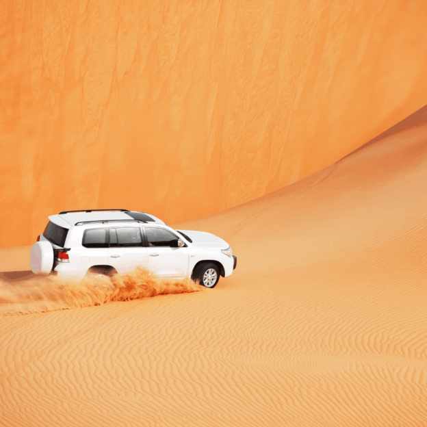Sightseeing Tours from Dubai 17