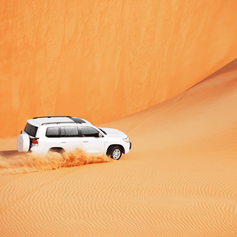Sightseeing Tours from Dubai 17
