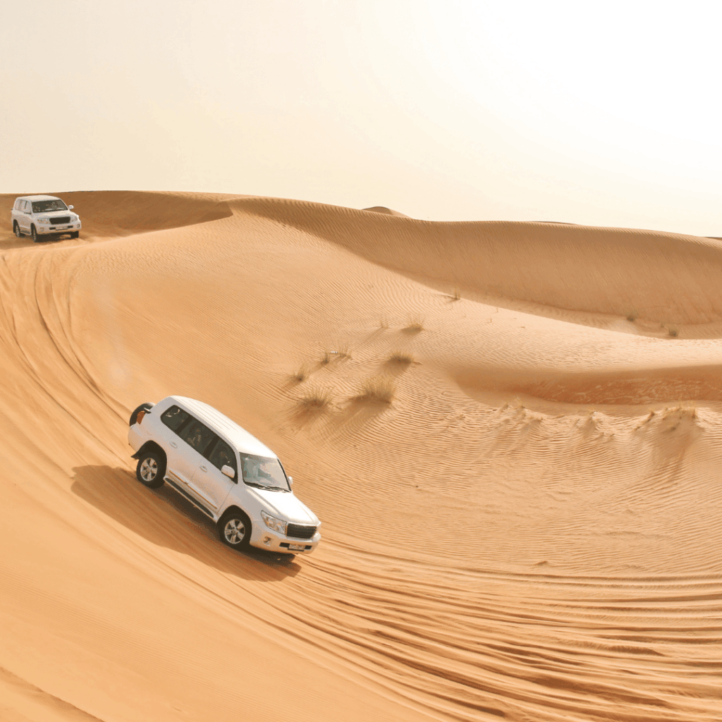 Sightseeing Tours from Dubai 10