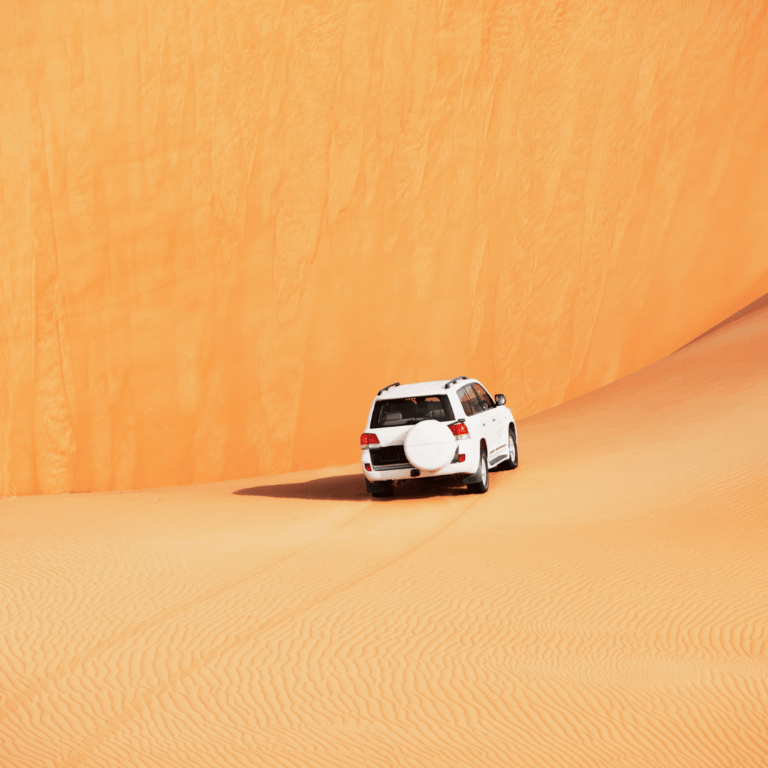 Sightseeing Tours from Dubai 8