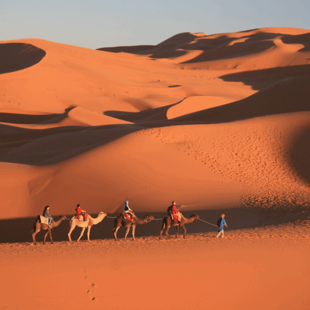 Camel Ride