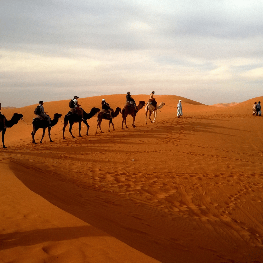 Camel Ride