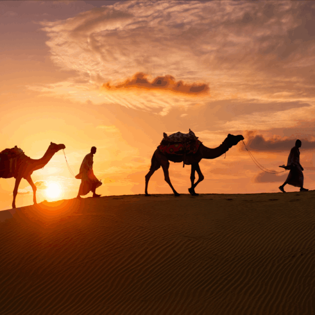 Desert Safari 5